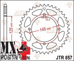 IRON SPROCKET YAMAHA XV 250 1989-2017 JT JTR857.39 39 DENTI PASSO 520