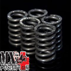 KIT MOLLE FRIZIONE RINFORZATE BETA RR 400 2011-2014 DP HDS99.4