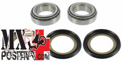 KIT CUSCINETTI DI STERZO BETA RR 300 2013-2022 BEARING WORX XSBK35001