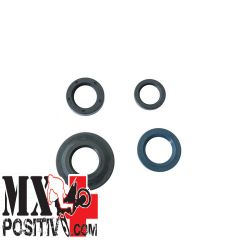 KIT PARAOLI MOTORE PIAGGIO VESPA PX 125 30 ANNI 2007-2008 ATHENA P400480400270