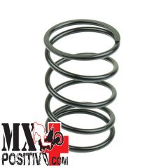 MOLLE DI CONTRASTO VARIATORE PIAGGIO DIESIS 50 2001 ATHENA 82096